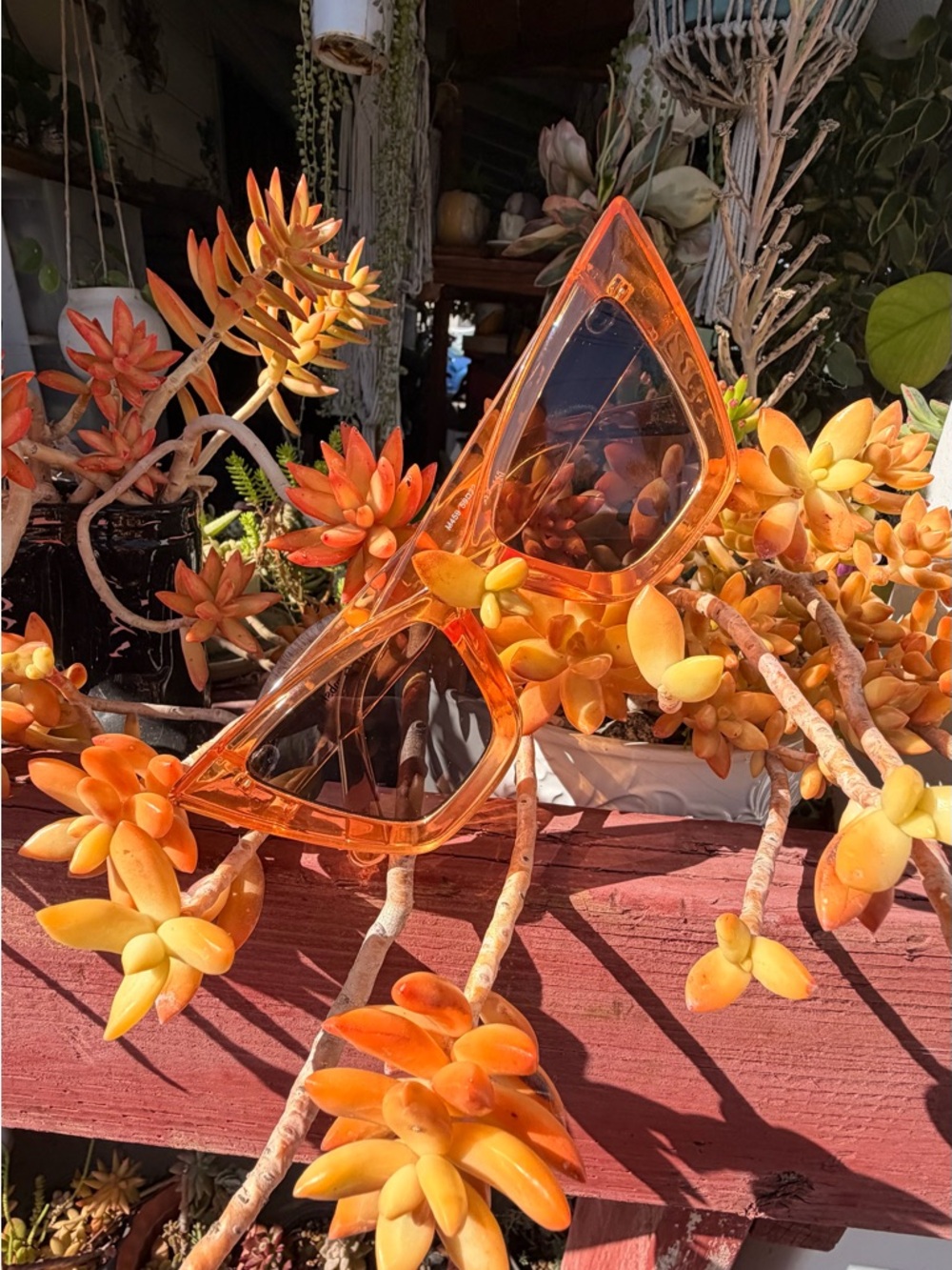 Amazon Orange Cat-Eye Sunglasses